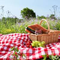 Frankrijk-boomgaard-picknick